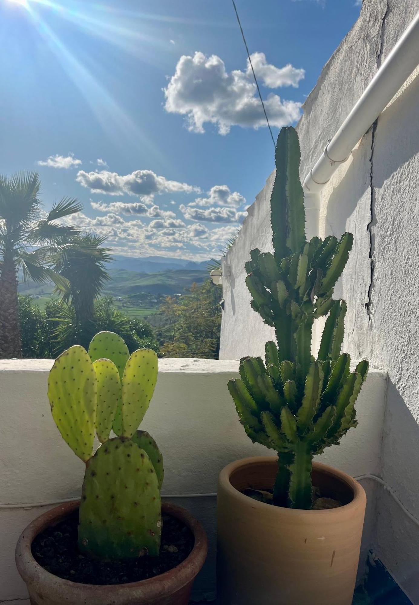 Finca El Sueño Andaluz Villanueva de la Concepción Exterior foto